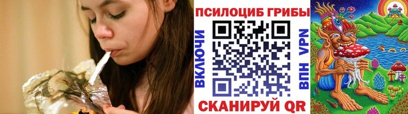 Галлюциногенные грибы Psilocybe  Белогорск 